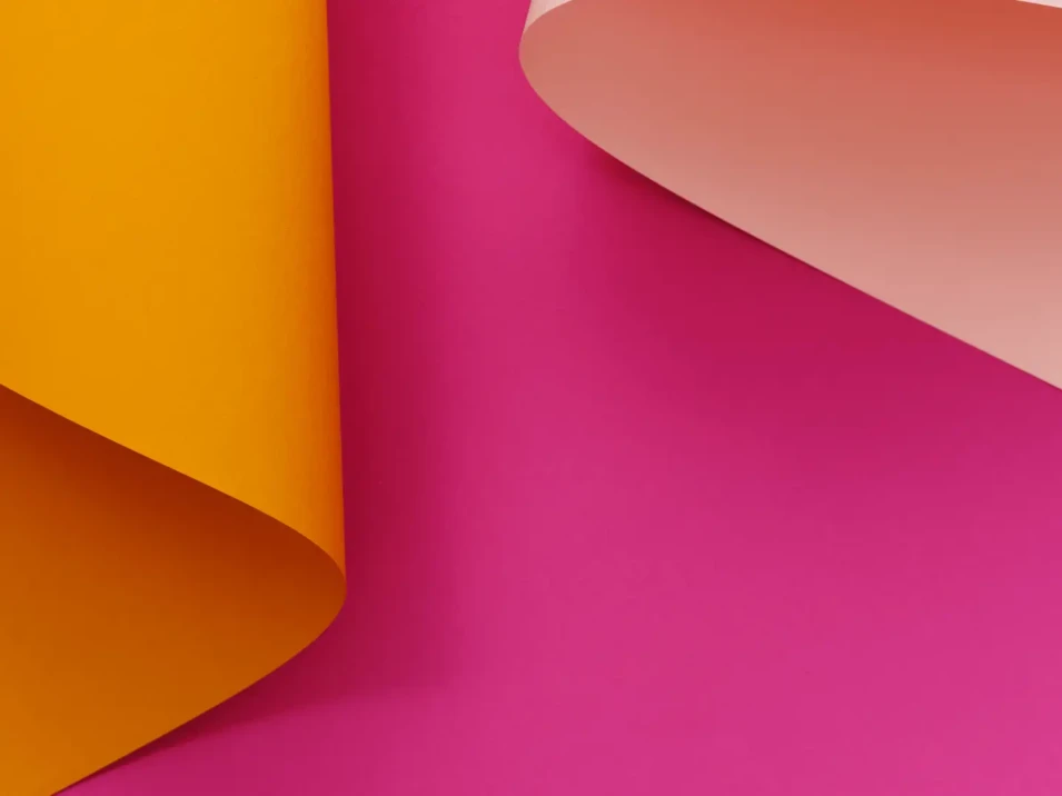 fondo (2)